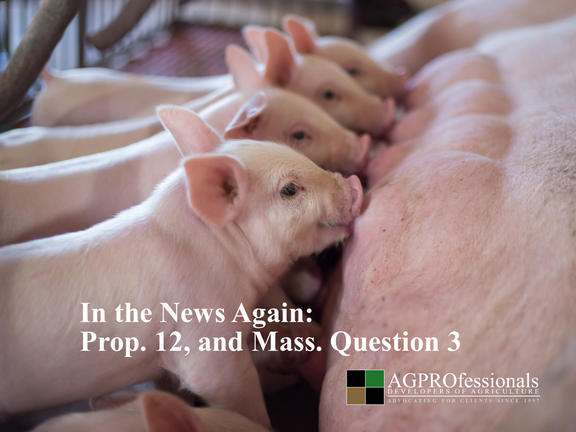 Prop 12 and Mass Question 3 In the News Again - AGPROfessionals.png