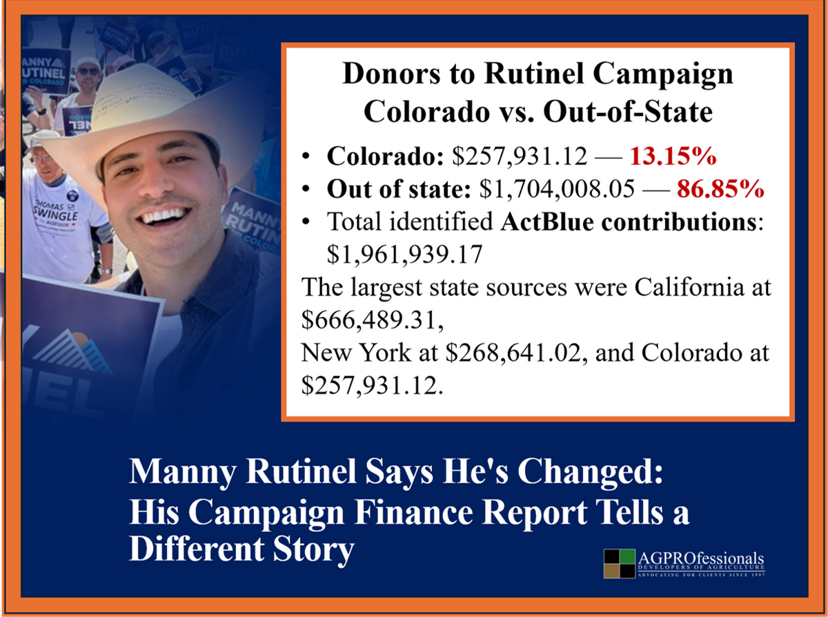 87% of Rutinel’s Campaign Donations Are Out of State and ActBlue Has a Big Influence 