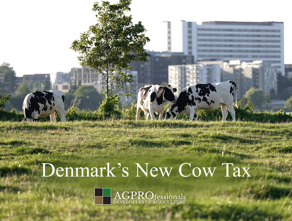 Denmark's New Cow Tax