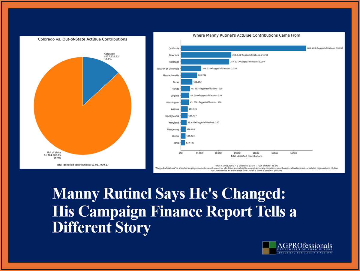 87% of Rutinel’s Campaign Donations Are Out of State and ActBlue Has a Big Influence 