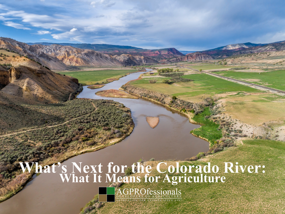 What’s Next for the Colorado River and Western Agriculture