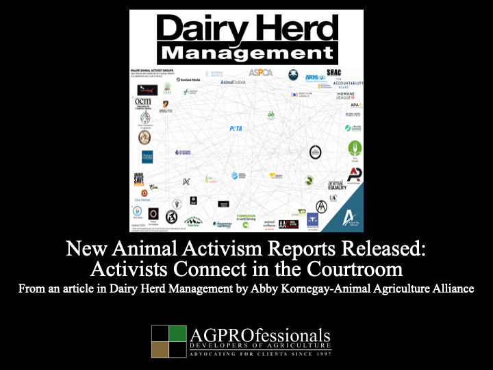 New Animal Activism Reports Released.png