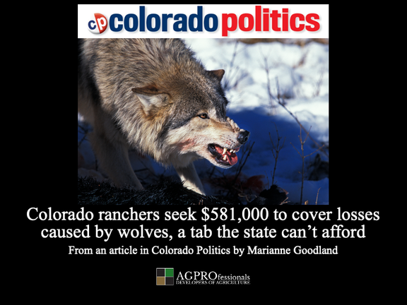 colorado ranchers seek 581,000.png