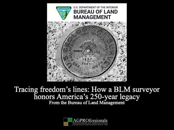 Tracing freedoms lines.png