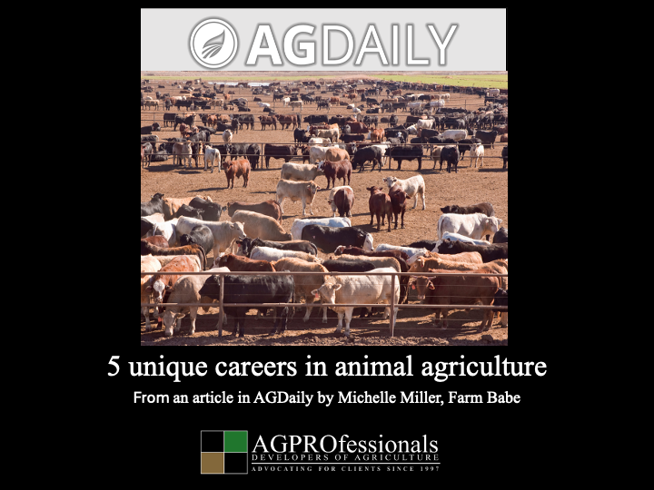 5 unique careers in animal agriculture.png