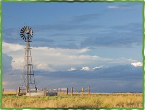 Understanding Ranching in the West