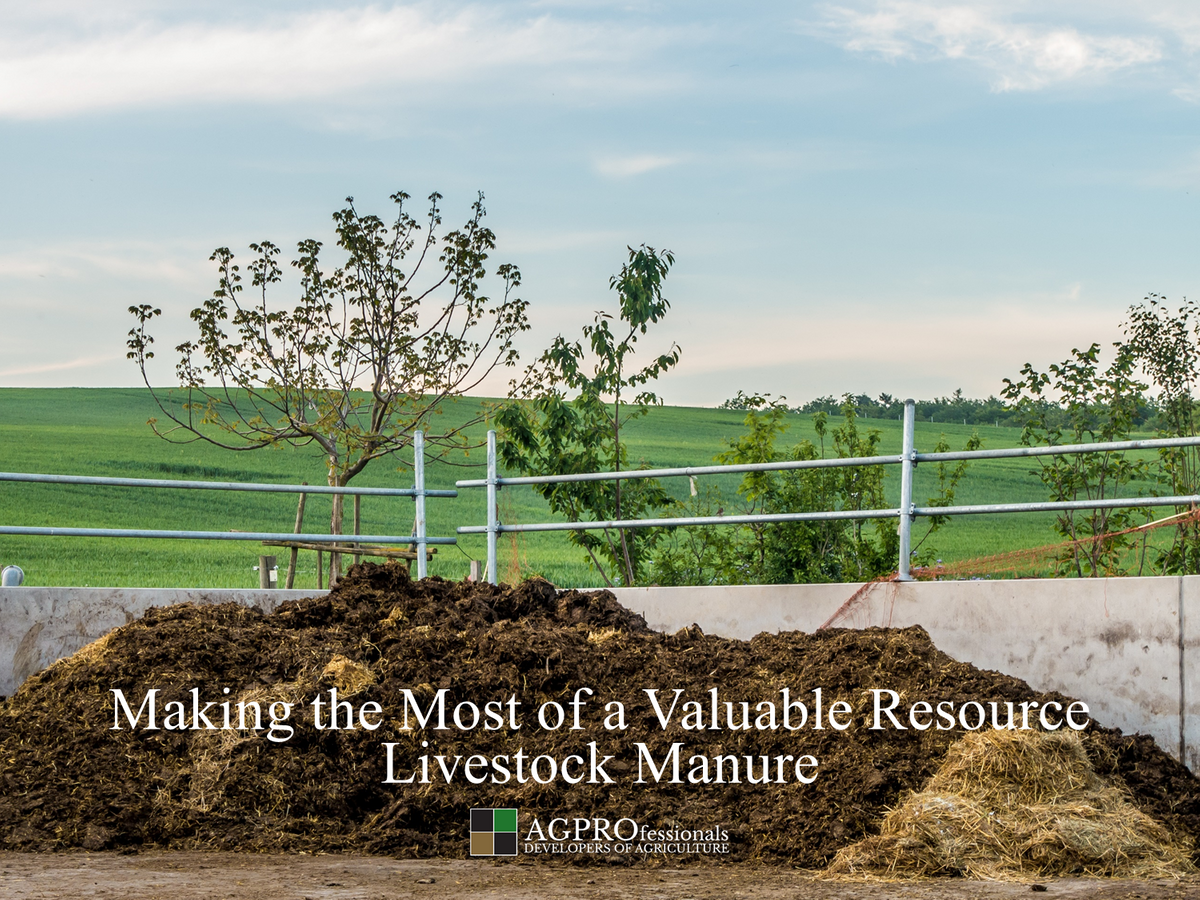 Livestock Manure