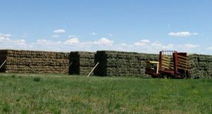 Keenesburg-CO-25-160923-57e54da971b3e._14AcresDryFarm8845x455.jpg
