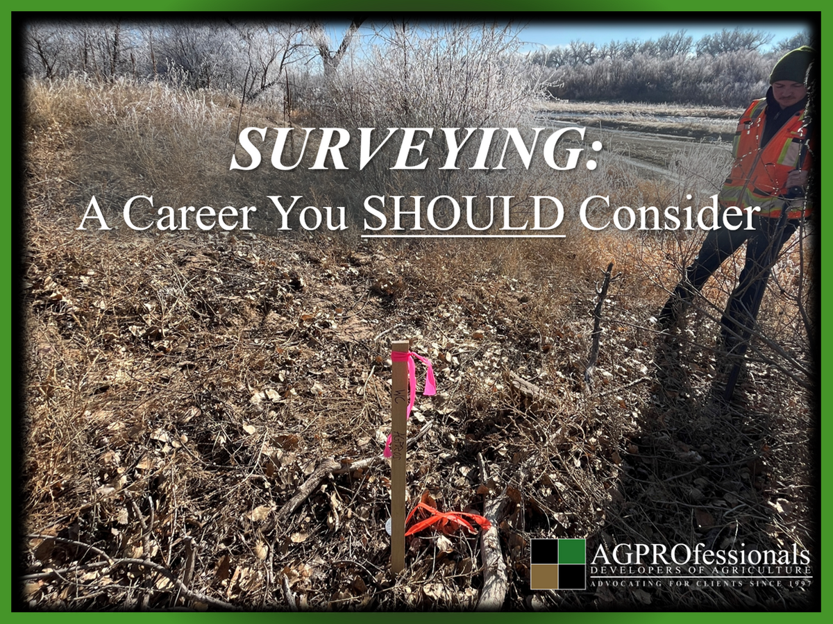 Surveying - Article Cover image.png