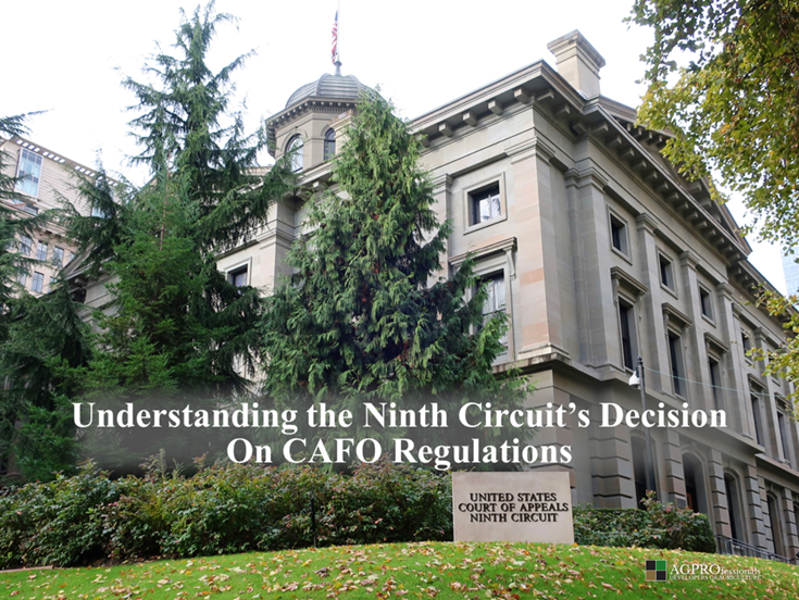 ninth circuit - cover image.png
