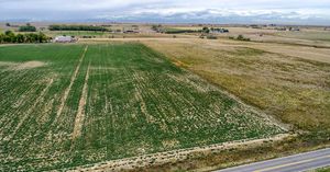 Aerial-11-5bc78fb20295b.jpg