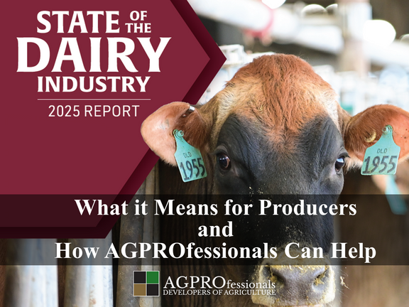What the 2025 State of the Dairy Industry Means and How AGPROfessionals Can Help 