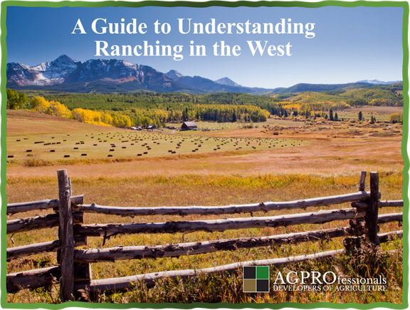 A Guide to Understanding Ranching in the West