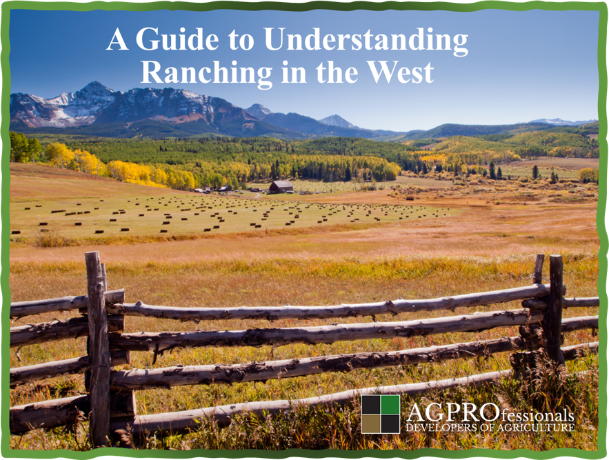 A Guide to Understanding Ranching in the West