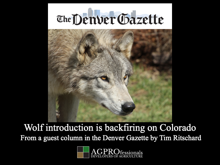 Wolf introduction is backfiring on Colorado  .png