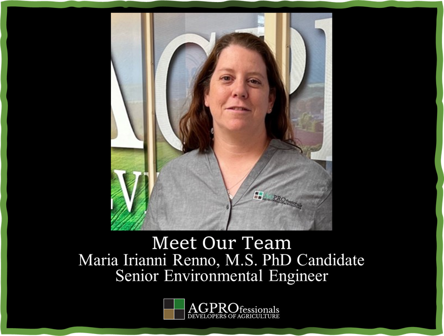 Maria Irianni Renno MS PhD Candidate Senior Enviornmental Engineer