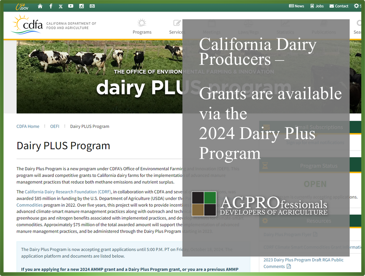 California Dairy Plus Grant Program 