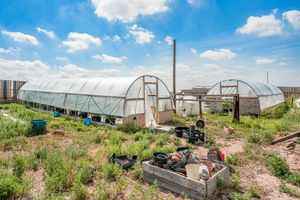 54068-County-Road-55_40.jpg