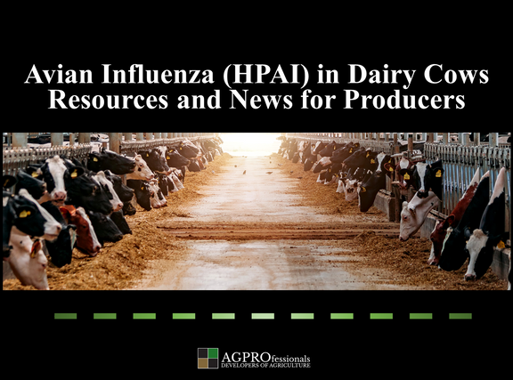 HPAI in Dairy Cows - Resources and News for Producers.png