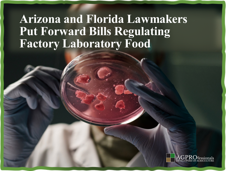 Arizona and Florida Lawmakers Put Forward Bills Regulating Factory Laboratory Food