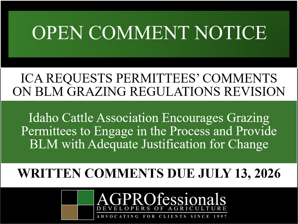 BLM grazing - comment request from ICA-cover image.png