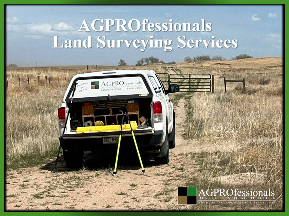 Survey Services - cover image.png
