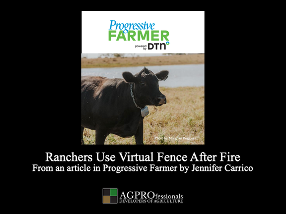 Ranchers use virtual fencing after fire.png