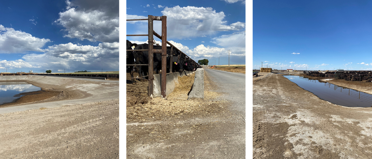 Idaho Department of Environmental Quality CAFO Improvement Fund 