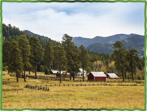 Guide to Ranching in the West, Grazing Permits