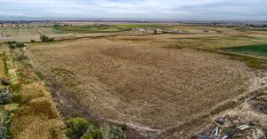 Aerial-5-5bc78f9a991ad.jpg