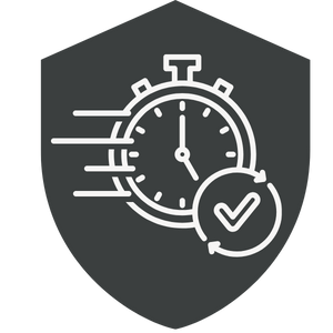 a stopwatch with speed lines and a circular arrow with a checkmark, indicating fast and complete service