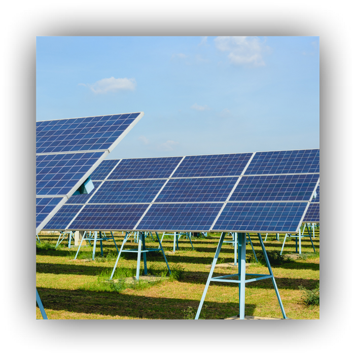 solar panels in a field 