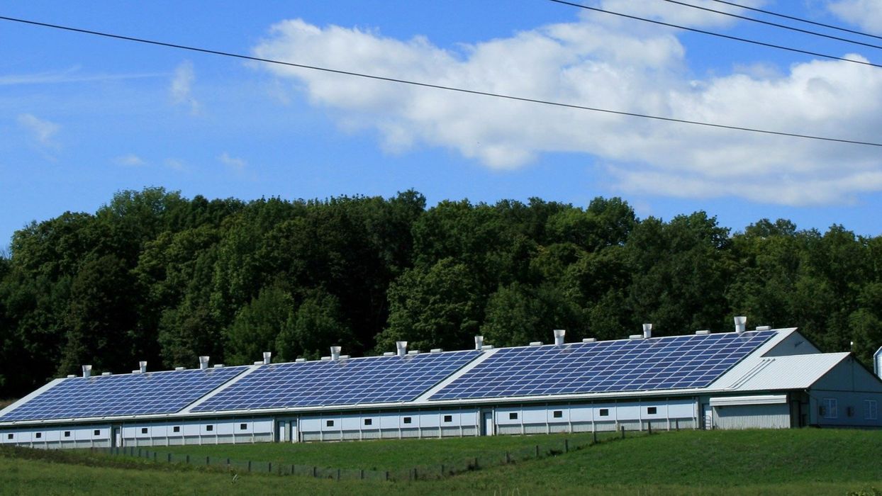 Harnessing Solar_UPS Solutions for Off-Grid Power Needs.jpg