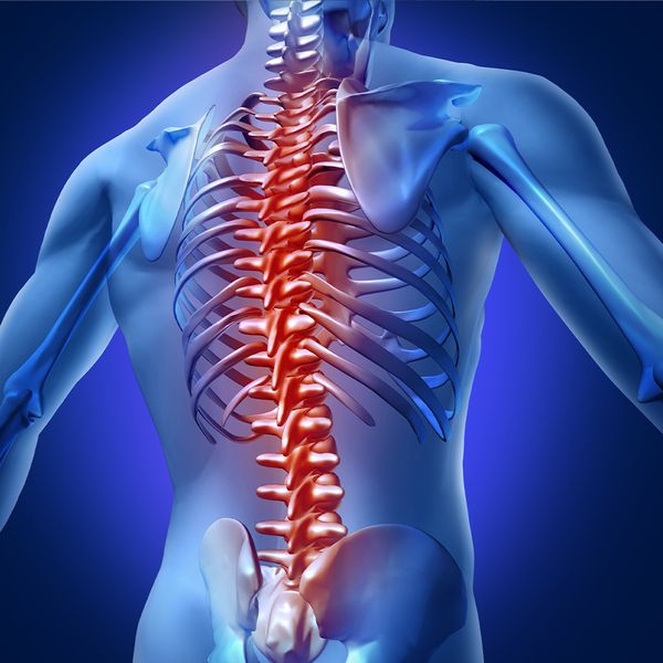 spine.jpg