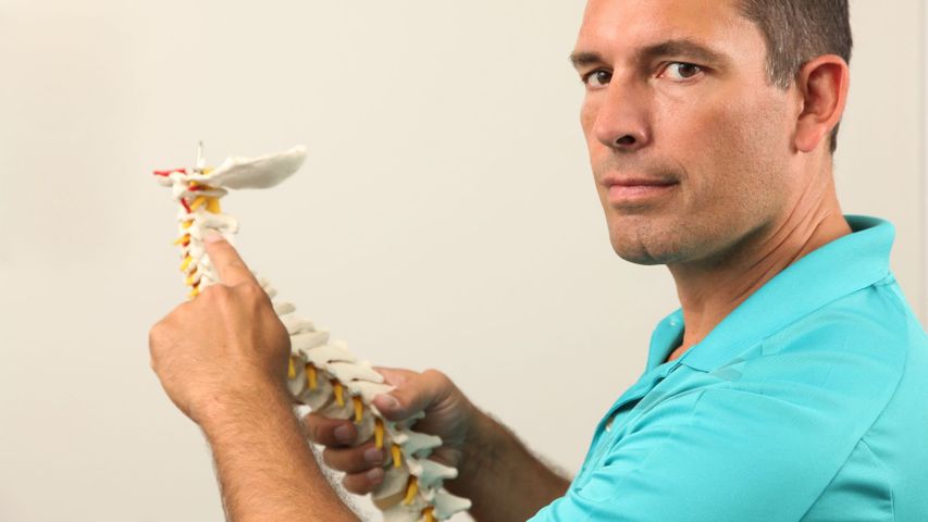 chiropractor holding spine model