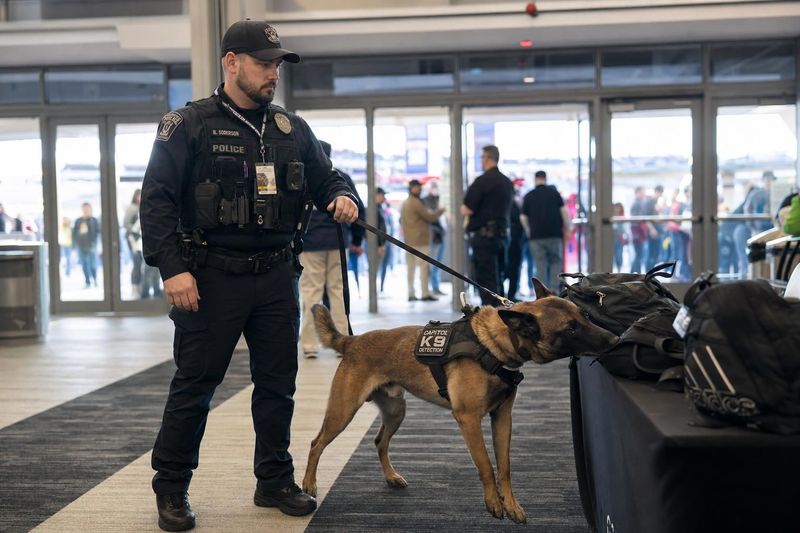 k9-officer-detection.jpeg