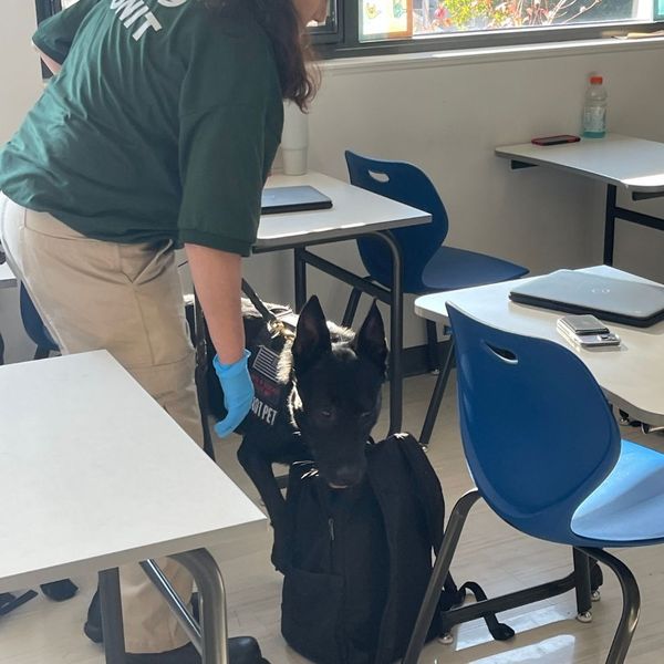 dog sniffing backpack at school for explosives and drugs