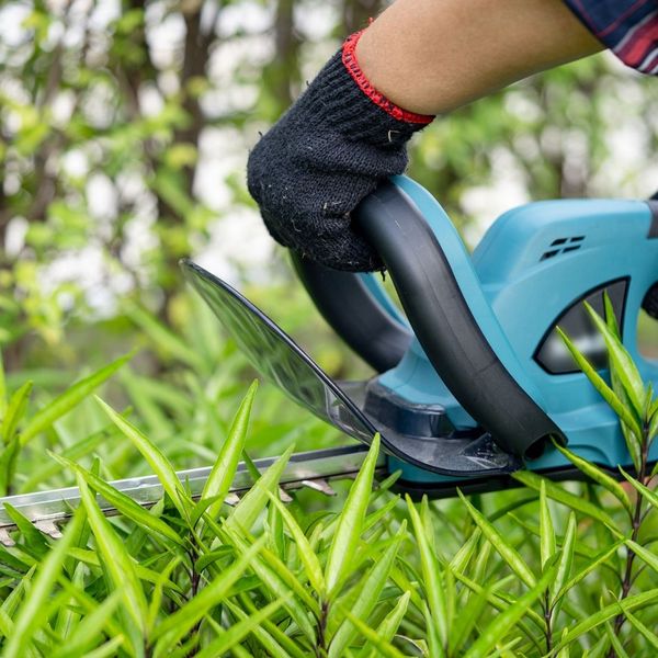 some trimming grass