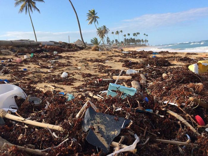 trash on the beach