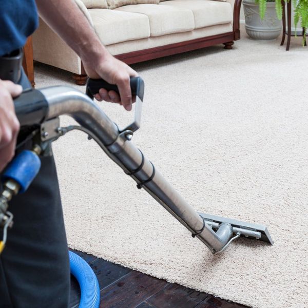 using steam cleaner on area rug