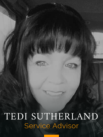 Tedi.png