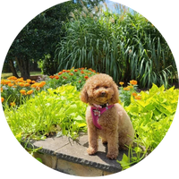 Our Team image 13.png