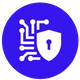 robust security icon