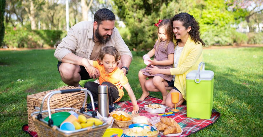 family having a picnic