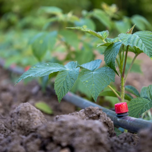 Irrigation System Maintenance and Repair2.jpg