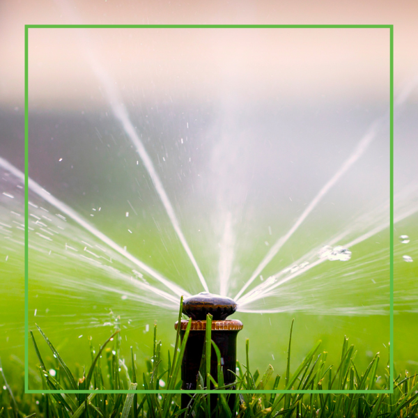 Irrigation system