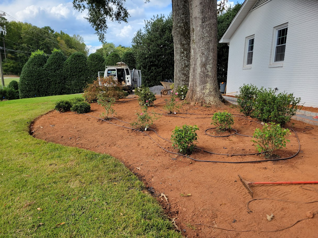 Drip Irrigation 2.jpg