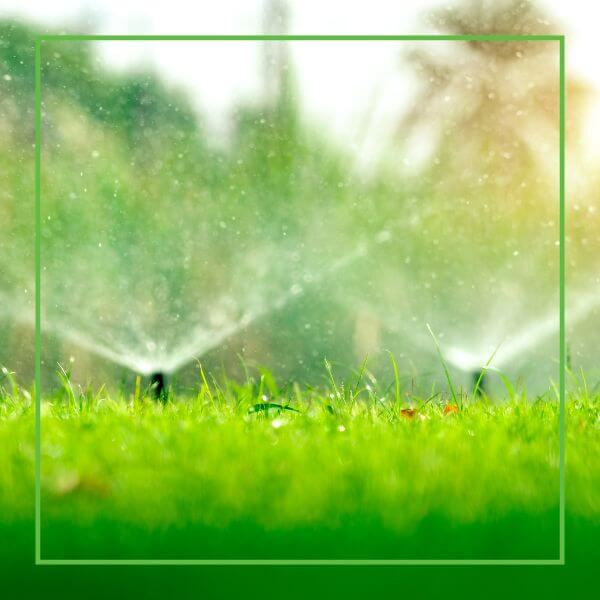 sprinklers sprinklers