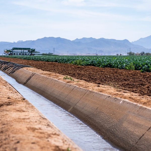 Water Conservation1.jpg