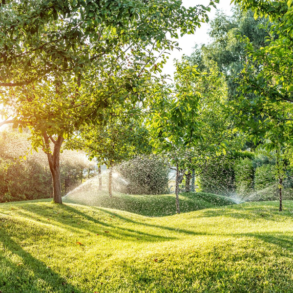 A large yard with sprinklers